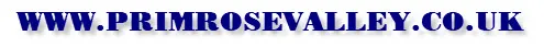 eBay Coupon