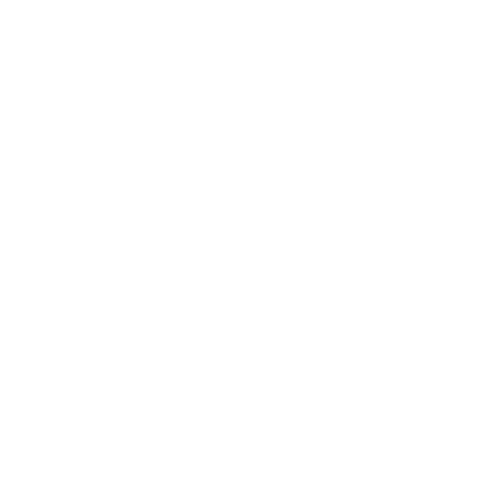 Anthony Veer