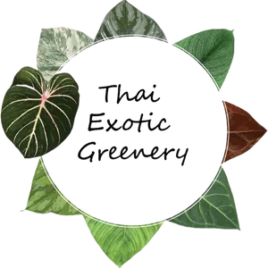 Thai Exotic Greenery