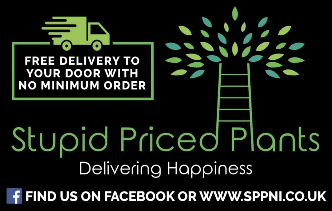 Stupid Priced Plants