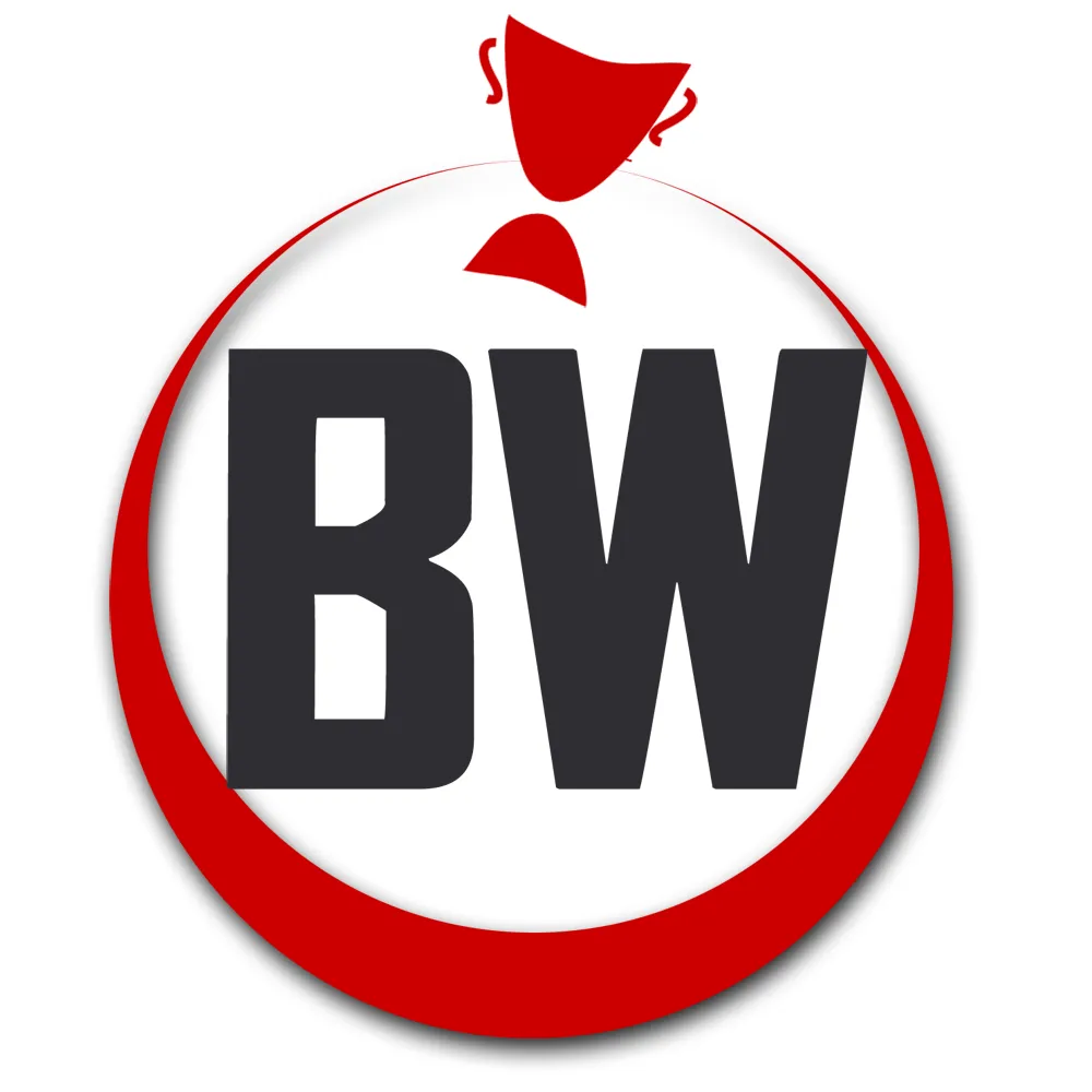 BW Darts