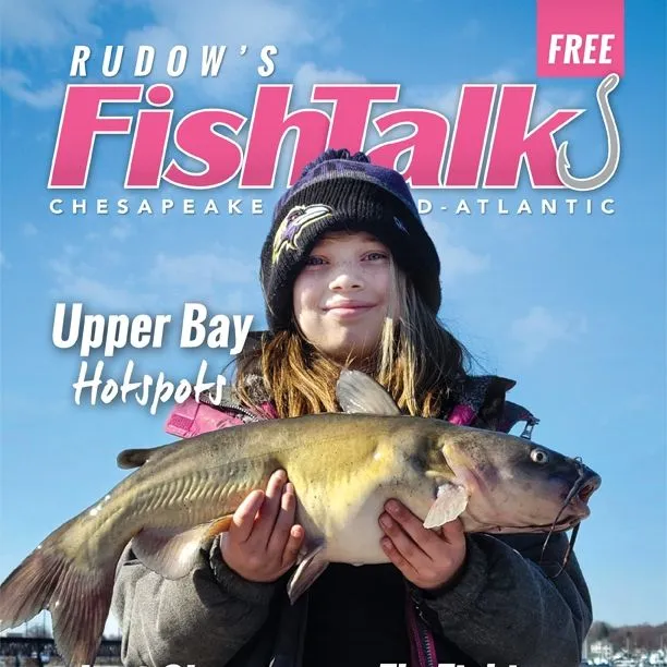 FishTalk