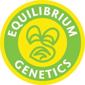 Equilibrium Genetics
