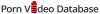 PornVideoDatabase