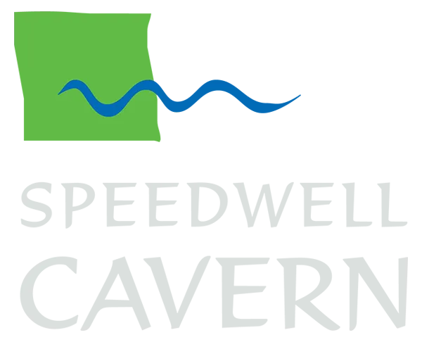 Speedwell Cavern