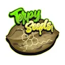 TerpySeeds