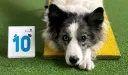 eBay Coupon