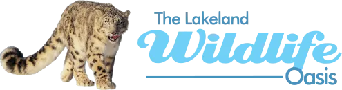 Lakeland Wildlife Oasis