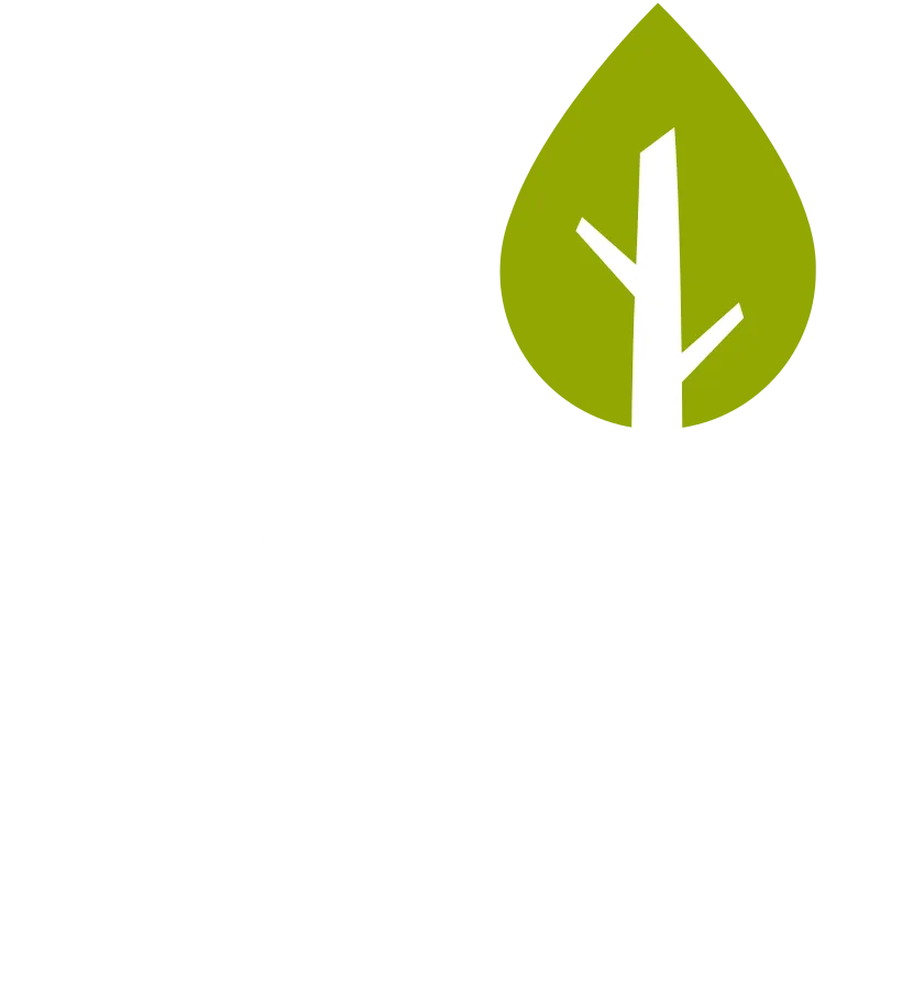 Park Cliffe