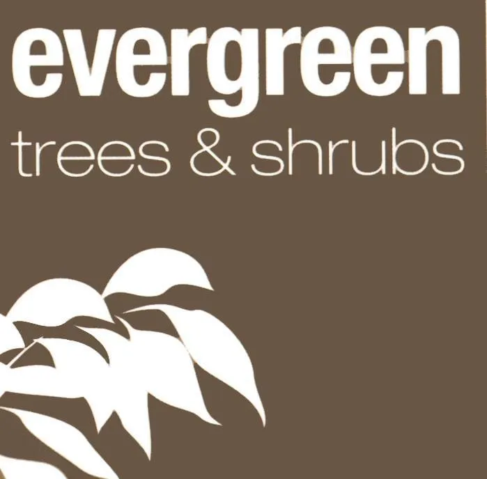 Evergreen Direct