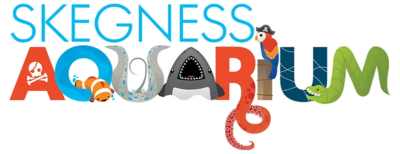 AliExpress