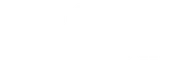 Fat Bear Scooter