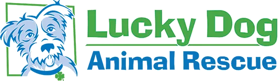 Lucky Dog Animal Rescue