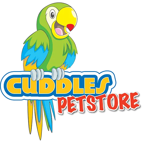 eBay Coupon