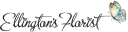 eBay Coupon