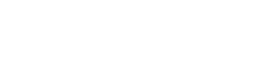 WONDERVILLE