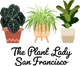 The Plant Lady SF
