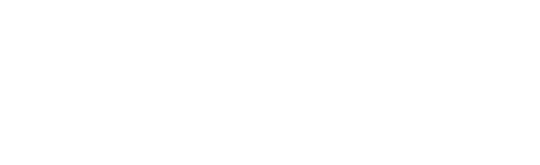 FitGun