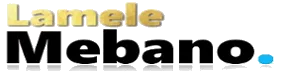 eBay Coupon