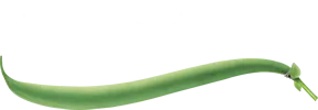 Tibits