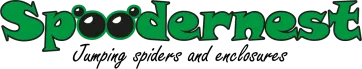 eBay Coupon