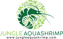 Jungle Aquashrimp