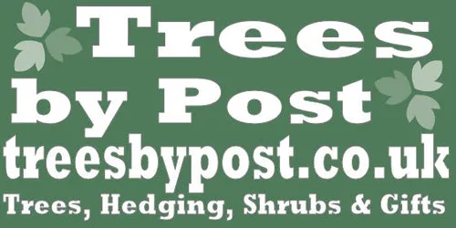 Trees By Post