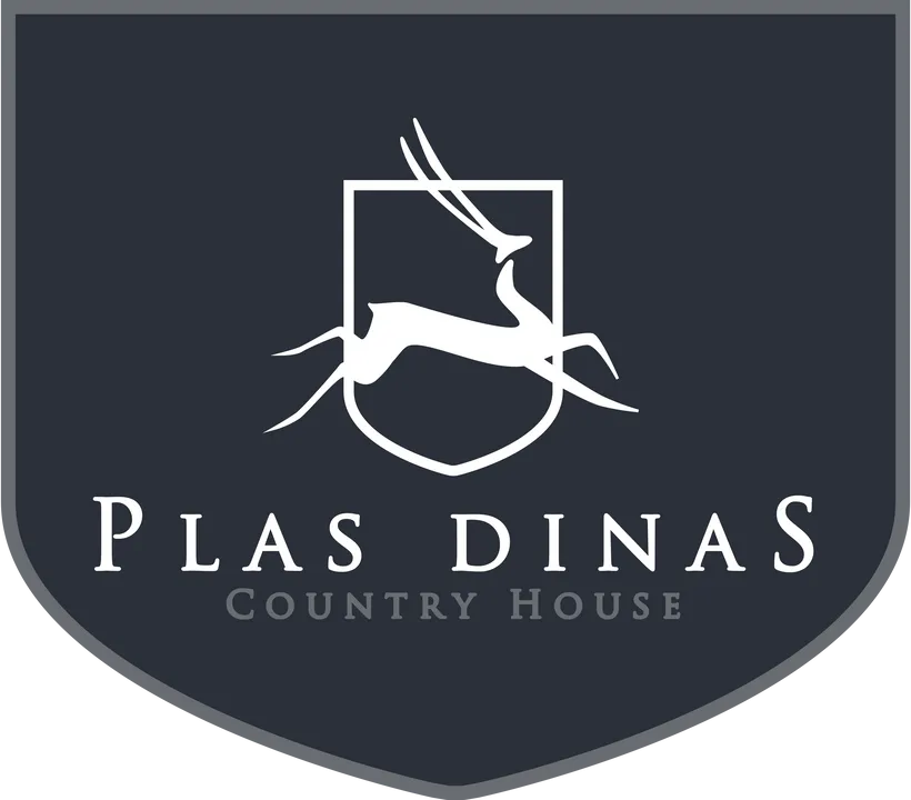 Plas Dinas