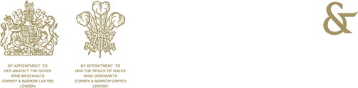 eBay Coupon