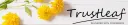 eBay Coupon