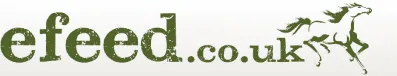 eBay Coupon