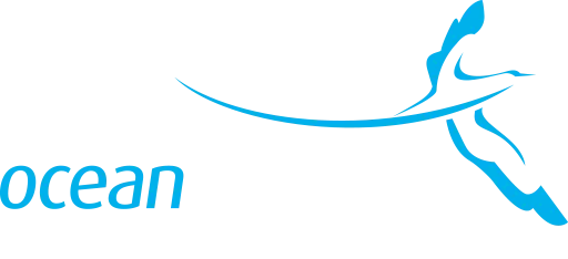 eBay Coupon