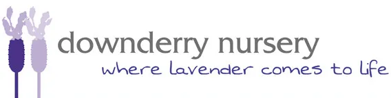 Downderry Nursery