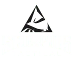 Scorpius Tactical