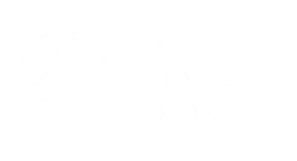 Zahocho Knives Tokyo