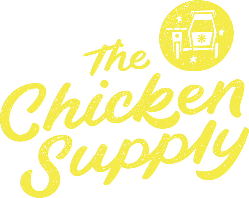 eBay Coupon