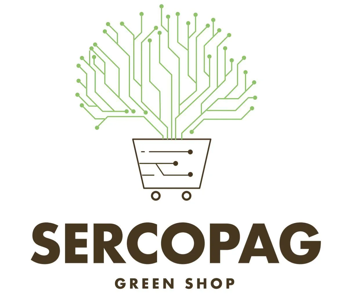 eBay Coupon