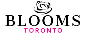 Toronto Baskets