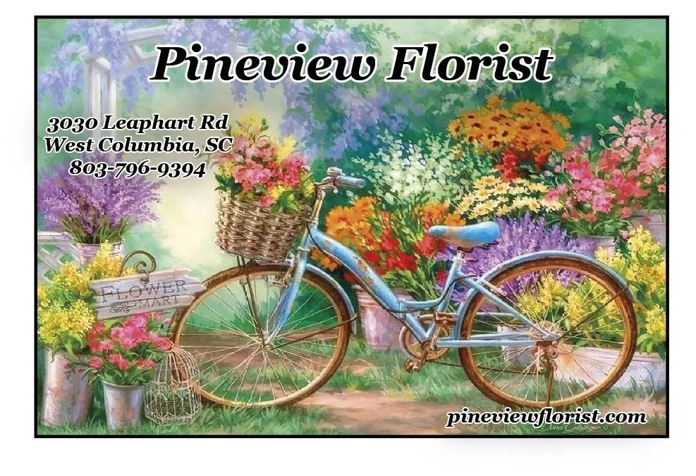 eBay Coupon