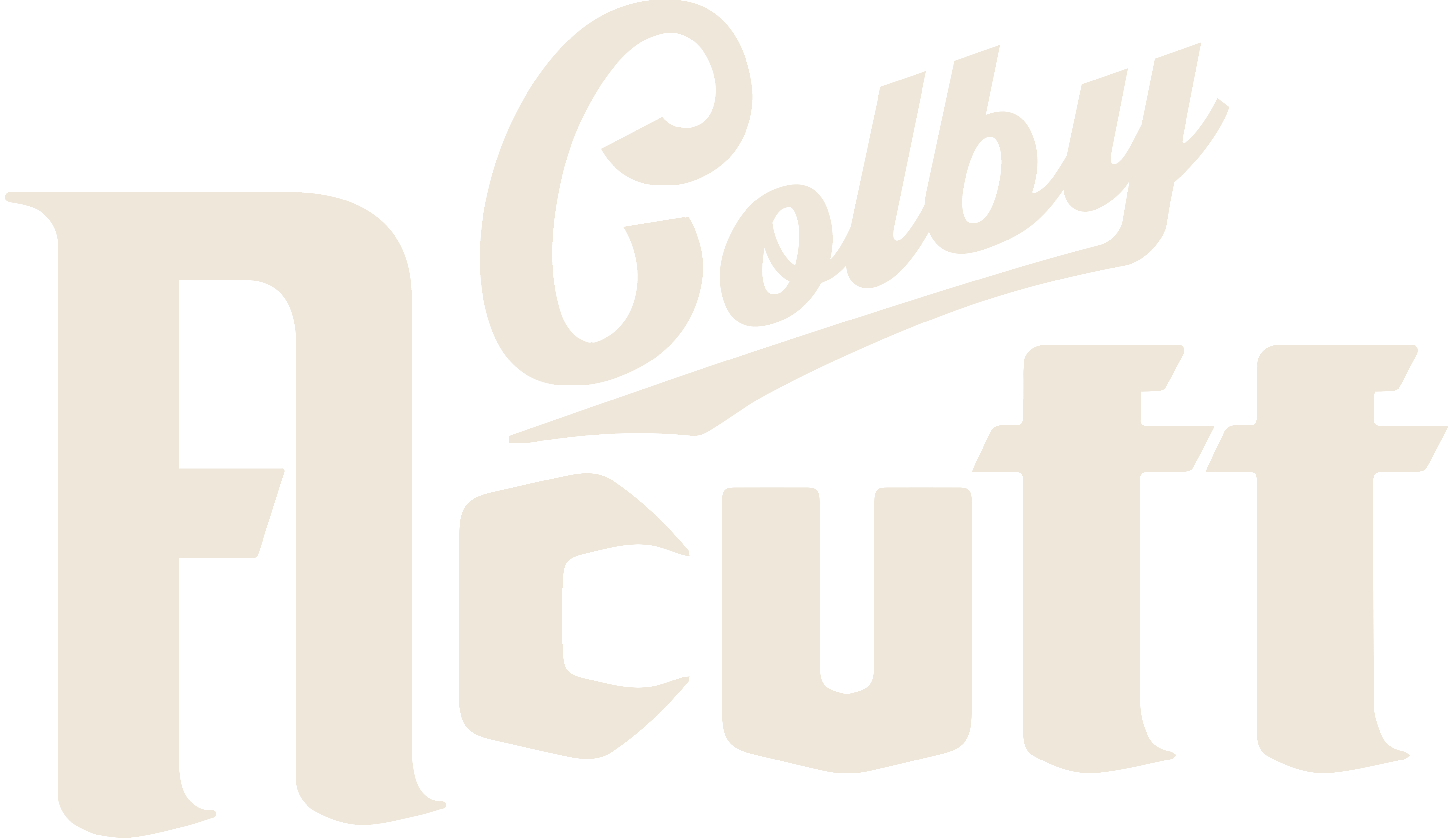 eBay Coupon