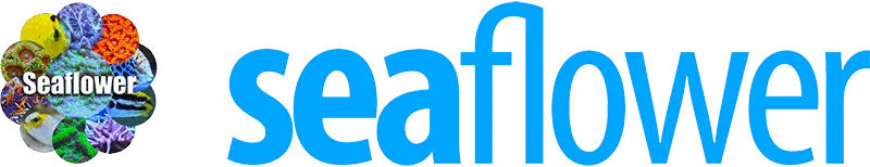eBay Coupon