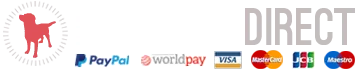 eBay Coupon