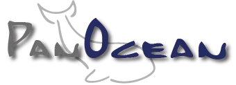eBay Coupon