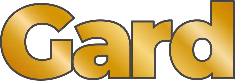 eBay Coupon