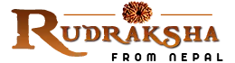 Rudraksha Nepal