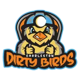 Dirty Birds Baseball