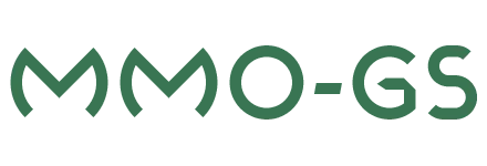 MMO GS
