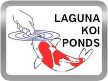 Laguna Koi