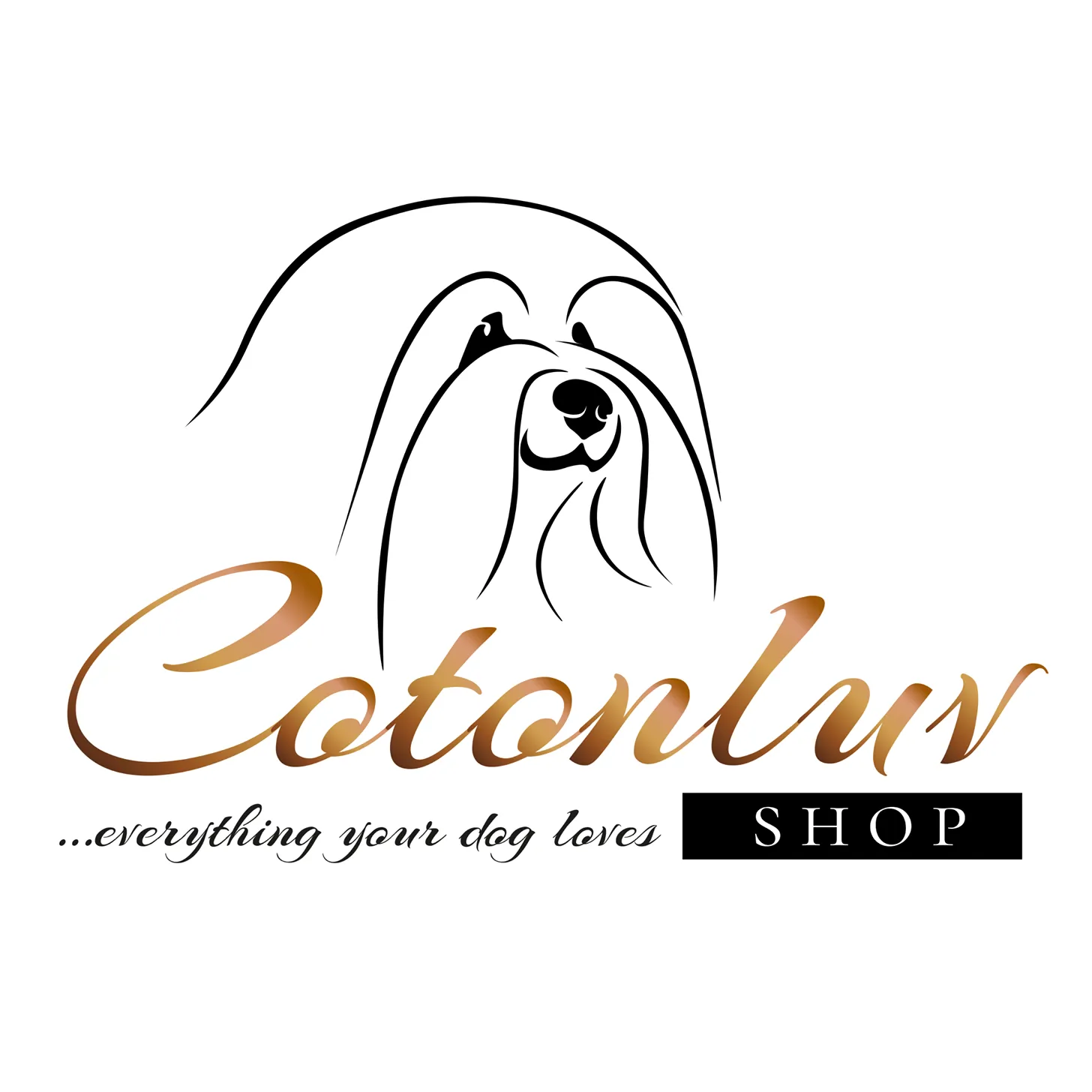 eBay Coupon