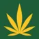 Cannabis